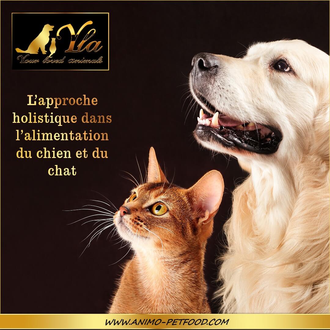 alimentation-holistique-chien-chat